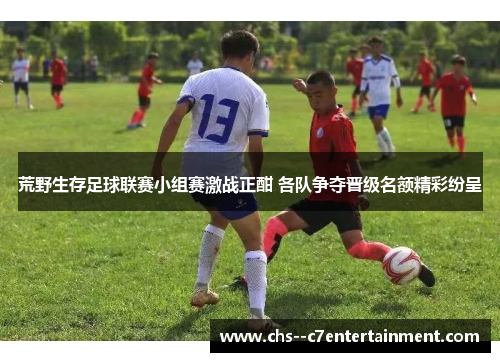 荒野生存足球联赛小组赛激战正酣 各队争夺晋级名额精彩纷呈