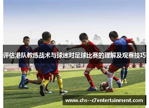 评估港队教练战术与球迷对足球比赛的理解及观赛技巧