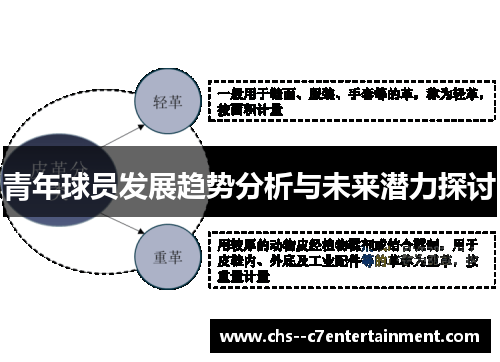 青年球员发展趋势分析与未来潜力探讨